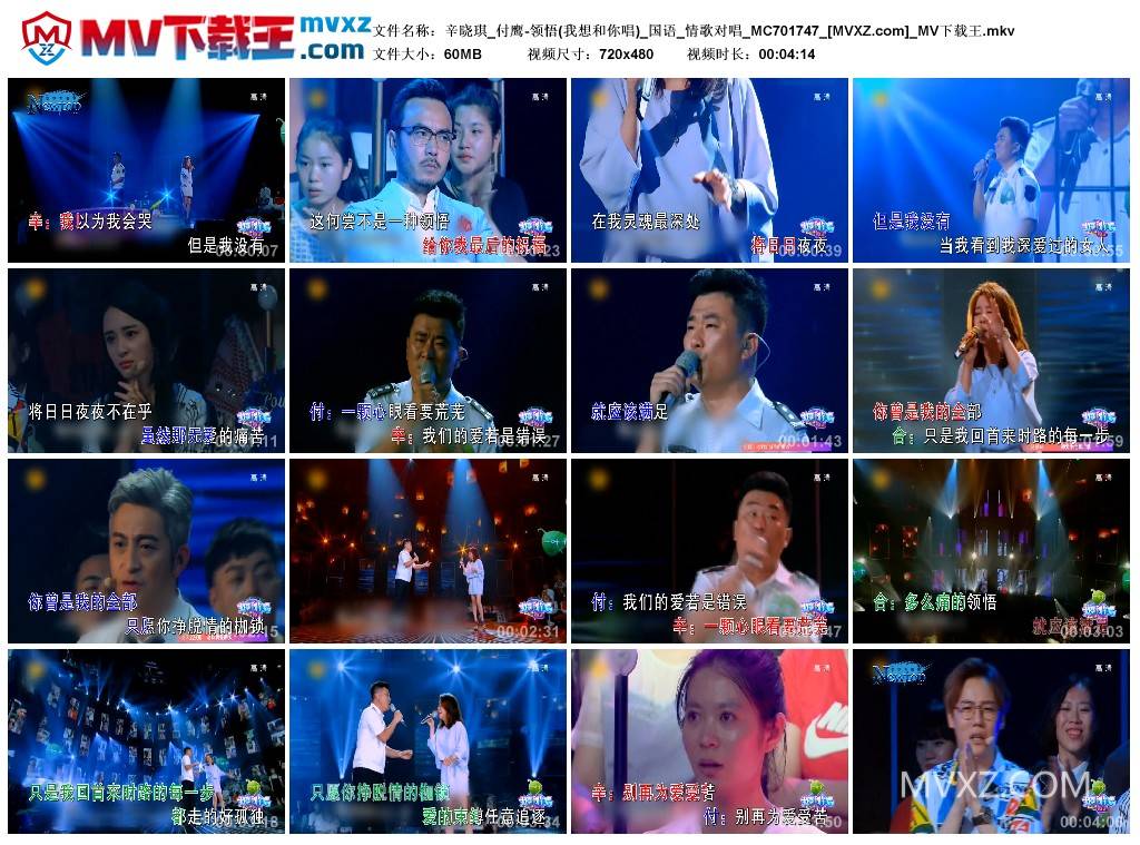 辛晓琪_付鹰-领悟(我想和你唱)_国语_情歌对唱_MC701747